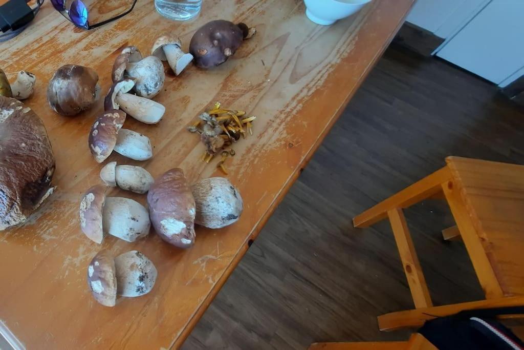 Appartement Vercors 4 Personnes Autrans-Meaudre-en-Vercors Exterior foto